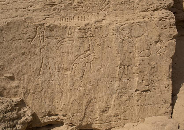 Earliest rock hieroglyphs discovered
