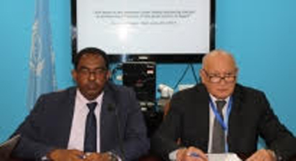 FAO supports Egypt on food safety