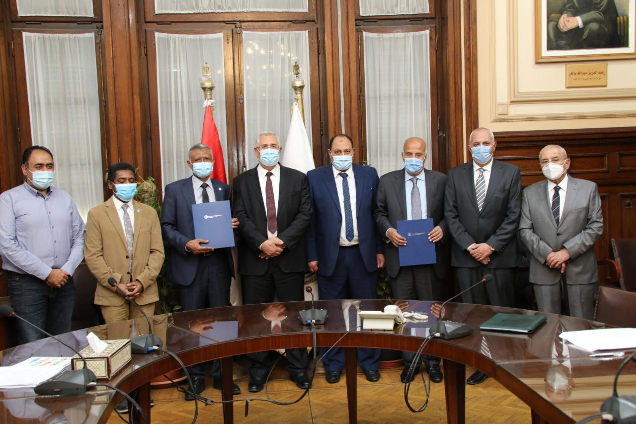 FAO cooperates with Egypt in poultry industry 