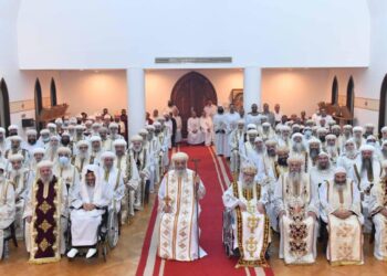 Coptic Orthodox Synod: Towards fruitful, thriving Church