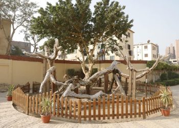 St Mary’s Tree: newly developed Holy Family site opens for tourists