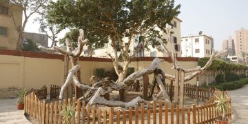 St Mary’s Tree: newly developed Holy Family site opens for tourists
