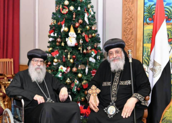 Pope receives Anba Pachomius following medical trip
