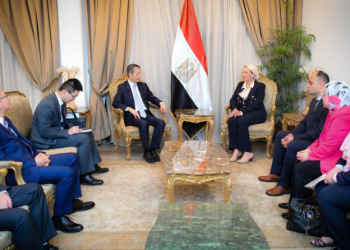 Egypt receives Chinese energy-conserving goods, invites China to climate investment conference