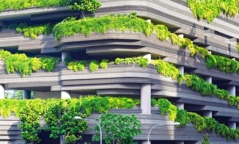 In Egypt: Building goes green 
