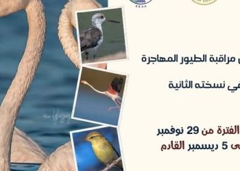 Second edition of bird watching festival in Port Said