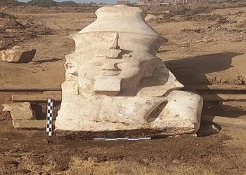 Top part of Ramses the Great colossus unearthed in Ashmunin
