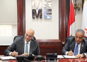 Egypt micro, small, medium enterprises go into Africa