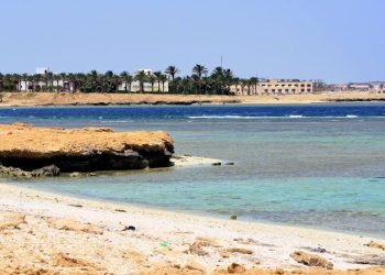 Tourist killed, another injured in Marsa Alam shark attack