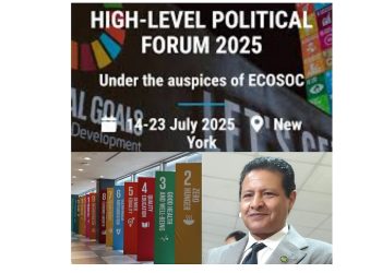 UN High-Level Political Forum on Sustainable Development:“No time for political luxury!”