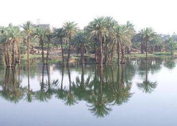 Happy Egyptian New Year 6267, Coptic 1742