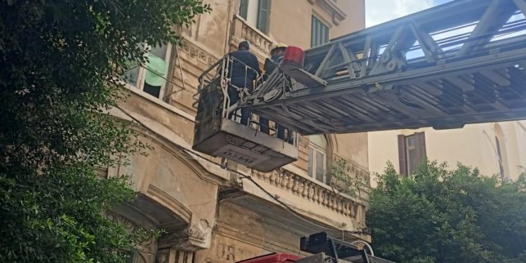In Alexandria.. owl rescued