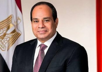 Sisi values Trump’s offer to mediate in Ethiopia’s Nile dam dispute