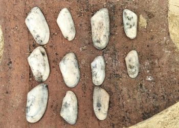 Discoveries offer insight into early Coptic monastic life